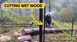 Read more about the article Can You Cut Wet Wood With a Chainsaw? What’s the TRUTH?