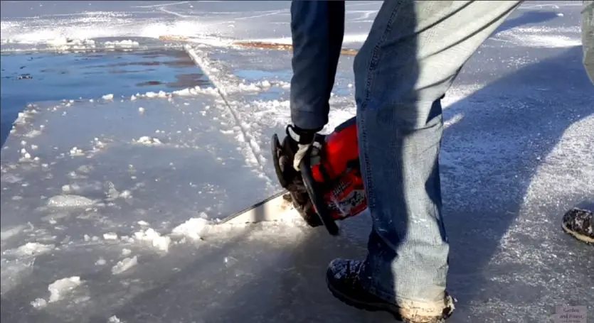 Cutting spearing holes with a chainsaw