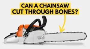 Read more about the article Can a Chainsaw Cut Through Bone? (A Shocking Experiment!)