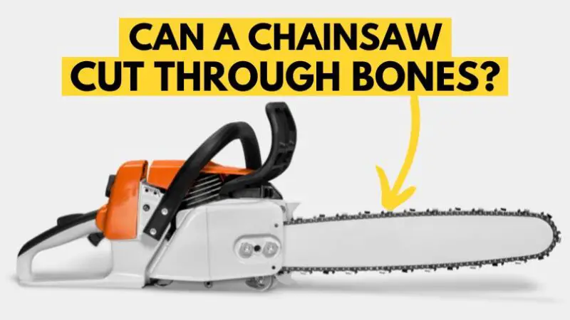 can a chainsaw cut through bones - featured image