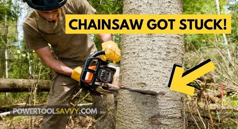 chainsaw got stuck in the tree - featured image