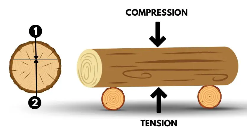 compression and tension zone of a log that is supported by both ends.