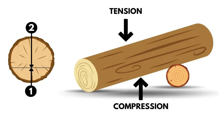 compression and tension zone of a log that is supported by one end.