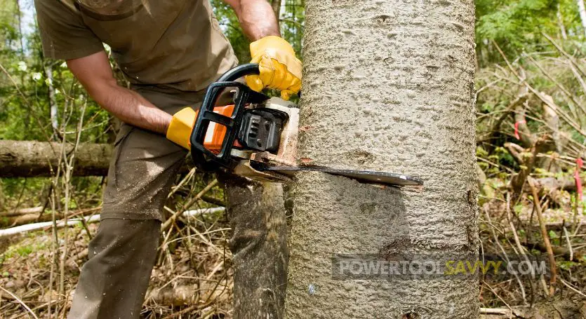 cutting tree with chainsaw