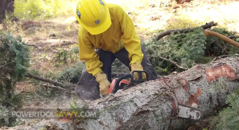 a logger cutting wood with a chainsaw