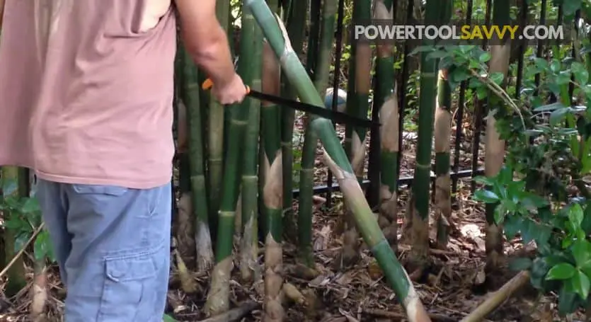 cutting bamboo using a machete