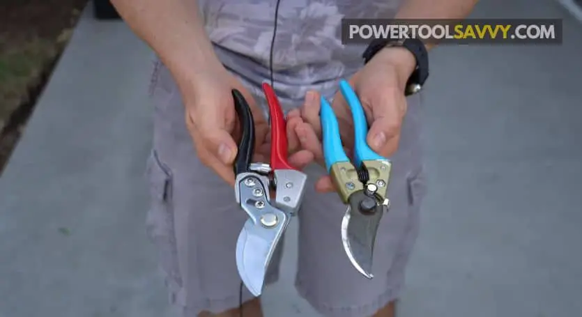 holding hand pruners