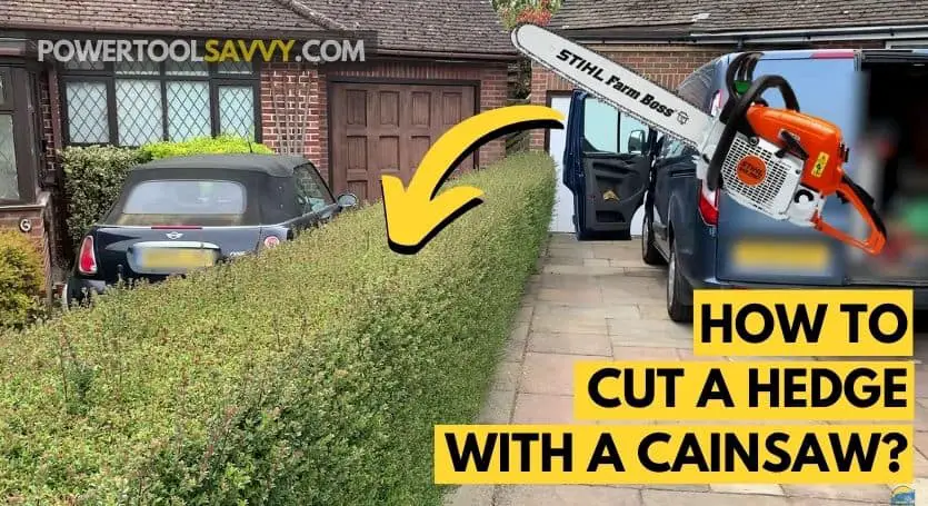 how to cut a hedge with a chainsaw - featured image
