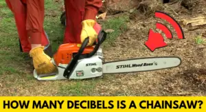 Read more about the article How Many Decibels is a Chainsaw? (MUST Read!)