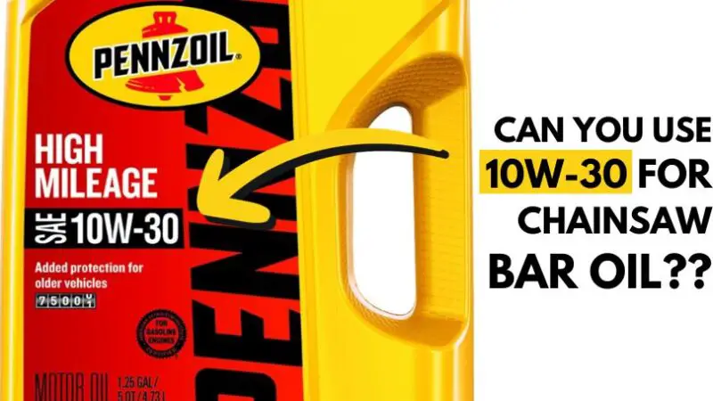 Yes, you can you use 10w-30 for chainsaw bar oil